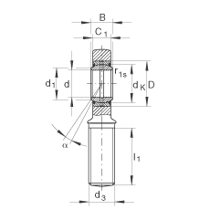 桿端軸承 GAL40-DO-2RS, 根據(jù) DIN ISO 12 240-4 標(biāo)準(zhǔn)，帶左旋外螺紋，需維護(hù)，兩側(cè)唇密封