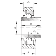 直立式軸承座單元 RASEL60-N, 鑄鐵軸承座，浮動(dòng)軸承，內(nèi)圈有驅(qū)動(dòng)槽，R 型密封